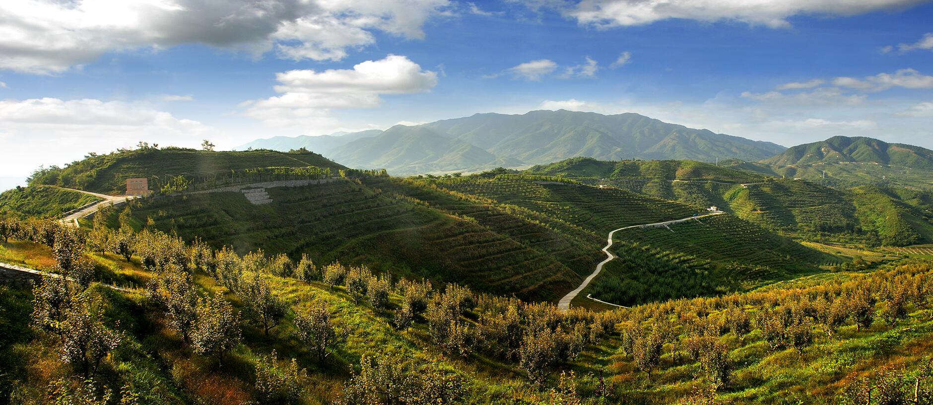 辽宁美丽乡村游——丹东凤城大梨树生态旅游区 - 知乎